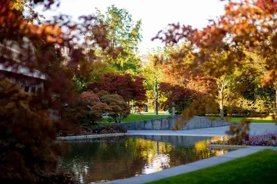 Осень в городе деревья с краснооранжевыми листьями в парке красивые пейзажи  небольшой водоем в японском стиле ландшафтного дизайна обои на рабочий стол  осень теплая солнечная погода антициклон краснодар | Премиум Фото