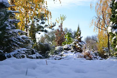 Осень зима - фото и картинки: 62 штук