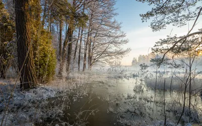 Природа, зима - Красивые фото обои для рабочего стола компьютера #249