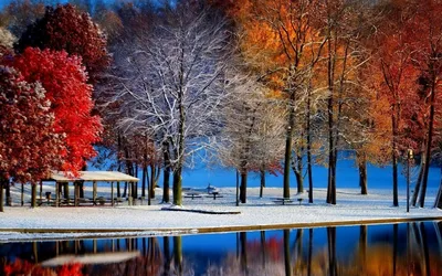 Картинка на рабочий стол зима, природа, лес, свет, осень 640 x 960