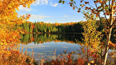 Обои на рабочий стол осень золотая на весь экран - фото и картинки  abrakadabra.fun