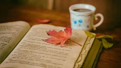 Обои книга, листья, чашка, осень, уют, чтение, кофе картинки на рабочий стол,  фото скачать бесплатно