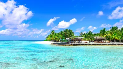 Обои пальмы, океан, пляж, отдых, рай картинки на рабочий стол, фото скачать  бесплатно