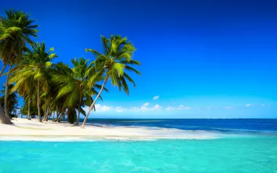 Фон рабочего стола где видно море, острова, пальмы, песок, лето, отдых,  обои, Sea, islands, palm trees, sand, summer, rest, wallpaper