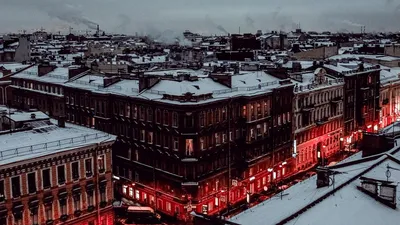 Снег в Санкт-Петербурге дворец в лесу Обои для рабочего стола 1280x800 |  Пейзажи, Зима, Город