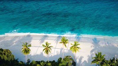 Обои пляж, море, пальмы, вид сверху картинки на рабочий стол, фото скачать  бесплатно