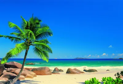 Фотографии пляжей - Сейшельские острова - Природа