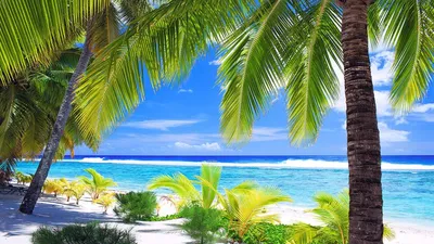 Обои на рабочий стол Пляж в тропиках, пальмы, море, прибой, обои для рабочего  стола, скачать обои, обои бесплатно