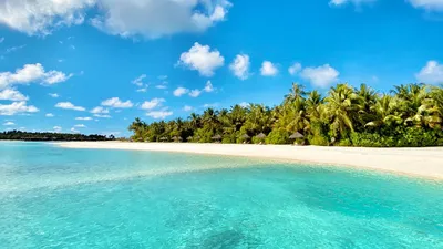 Обои пляж, море, фотообои, раздел Природа, размер 1920x1200 HD WUXGA -  скачать бесплатно картинку на рабочий стол и телефон