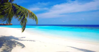 Тропический остров, пляж.море, океан, вода, песок, пальмы обои для рабочего  стола, картинки, фото, 1920x1080.