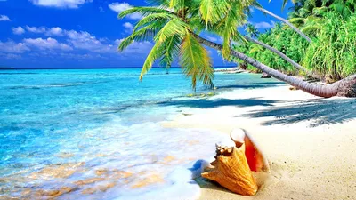 Тропический пляж море и океан - обои на рабочий стол