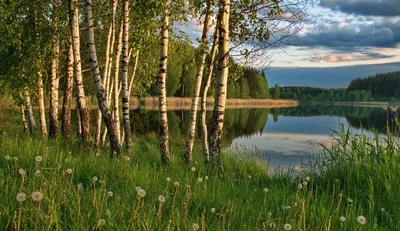 Летняя природа России - красивые фото