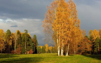 Природа России. Осень в Санкт-Петербурге - обои на рабочий стол