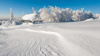 Сказочная зима - красивые фото