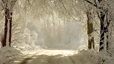Красивые картинки зимняя сказка (35 фото) 🔥 Прикольные картинки и юмор