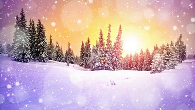 Лес окутанный снегом (39 фото) - 39 фото