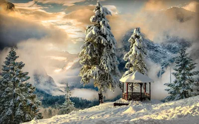 Зимняя природа - 61 фото | Beautiful nature, Winter pictures, Winter scenery