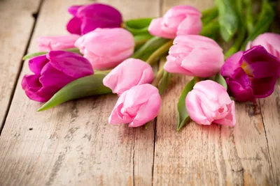 Обои на рабочий стол весна тюльпаны - 62 фото