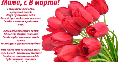 Весеннее цветение на 8 марта - обои для рабочего стола, картинки, фото