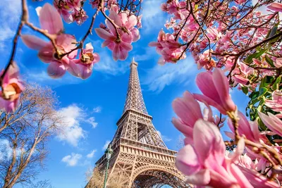 Картинки на рабочий стол весна в париже