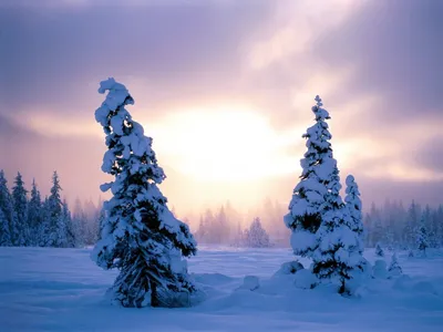 Красивые картинки Зима на рабочий стол, красивые обои Зима для рабочего  стола скачать бесплатно