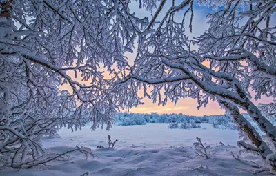 Зима - Картинка на телефон / Обои на рабочий стол №1298883