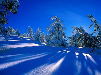Скачать обои Снежные горы на закате. на рабочий стол из раздела картинок  Зима