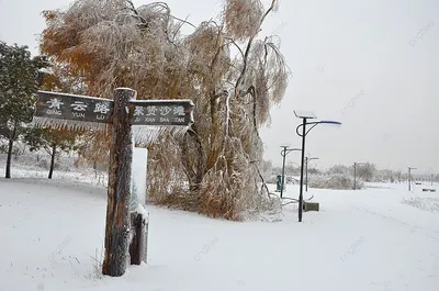 Большой ледяной город Харбин Бунд, зима, рабочий стол, Ледяной город фон  картинки и Фото для бесплатной загрузки