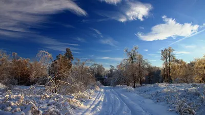 Обои зима, снег, дорога, следы, кусты, деревья, сугробы, облака, небо,  ясное картинки на рабочий стол, фото скачать бесплатно