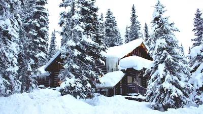Скачать 1920x1080 дом, лес, зима, снег обои, картинки full hd, hdtv, fhd,  1080p