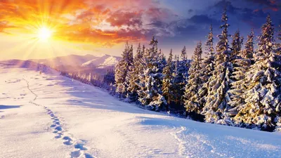 Скачать обои и картинки зима, снег, лес, хвоя, горы, небо, солнце, лучи,  следы для рабочего стола в разрешении 1920x1080