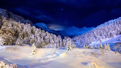Обои Зима и ночь, картинки - Обои для рабочего стола Зима и ночь фото из  альбома: (природа)