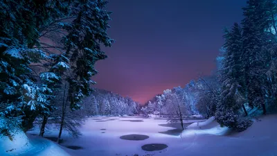 Обои для рабочего стола Зима Природа Снег Леса Озеро Ночь 2560x1440