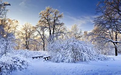 Обои Зима в горах, картинки - Обои для рабочего стола Зима в горах фото из  альбома: (природа)