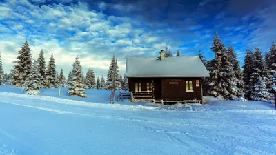 Фотография Зима Природа снегу сезон года 1920x1200