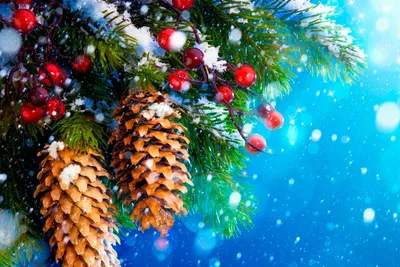 Обои дом, елка, снег, зима, новый год, мост, рождество, открытка картинки  на рабочий стол, фото скачать бесплатно