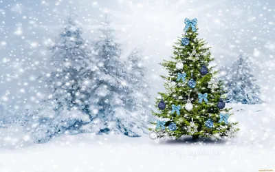 Обои 3Д Графика Праздники (Holidays), обои для рабочего стола, фотографии  3д графика, праздники , holidays, лес, снег, елка, зима, рождество, новый,  год, design, by, marika, forest, winter, snow, tree, christmas Обои для