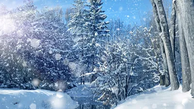 Фото Зима Природа Времена года