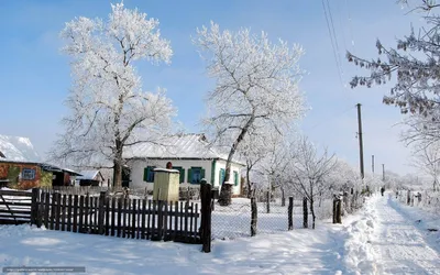 Картинки на рабочий стол зима в деревне