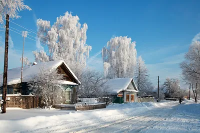 Фото Россия село Зима Природа Снег Дома Города Деревья сезон года