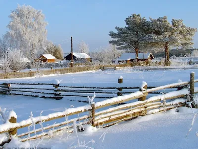 Картинки утро, мороз, зима, деревня - обои 1680x1050, картинка №125003