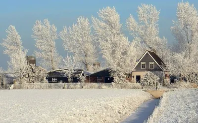 Зима в деревне картинки красивые на рабочий стол: фото, изображения и  картинки