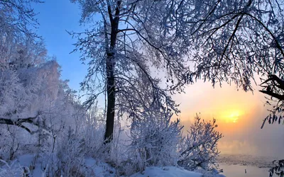 Фото зима в деревне » Прикольные картинки: скачать бесплатно на рабочий стол