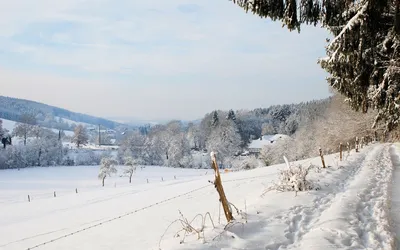 Красивые картинки зима в деревне (35 фото) 🔥 Прикольные картинки и юмор