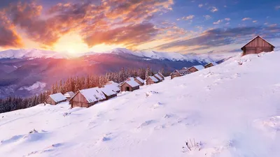очаровательная ночная деревня и снежный пейзаж изысканная и шикарная 3d  иллюстрация идеально подходящая для зимнего отдыха, Рождественский лес,  рождественское небо, снежный узор фон картинки и Фото для бесплатной  загрузки