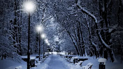 Картинки город, зима, парк, вечер, фонари, красиво - обои 1366x768,  картинка №121800