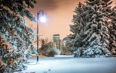Обои снегопад, ночь, город, транспорт, зима картинки на рабочий стол, фото  скачать бесплатно