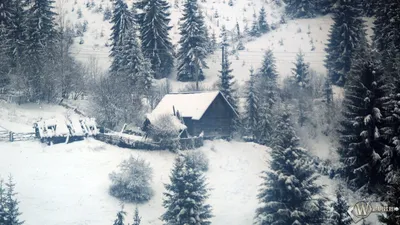 Обои природа, дом, забор, дом, снег, лес, сугробы, зима на рабочий стол