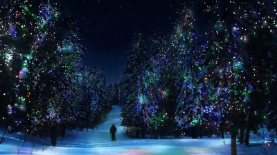 Artistic Winter HD Wallpaper