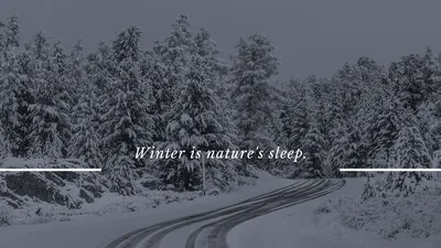 Обои на телефон зима, дорога, снег, деревья, зимний пейзаж - скачать  бесплатно в высоком качестве из категории \"Природа\"